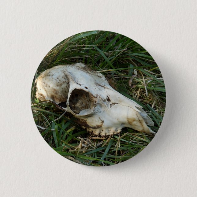 Deer Skull Badge (Front)