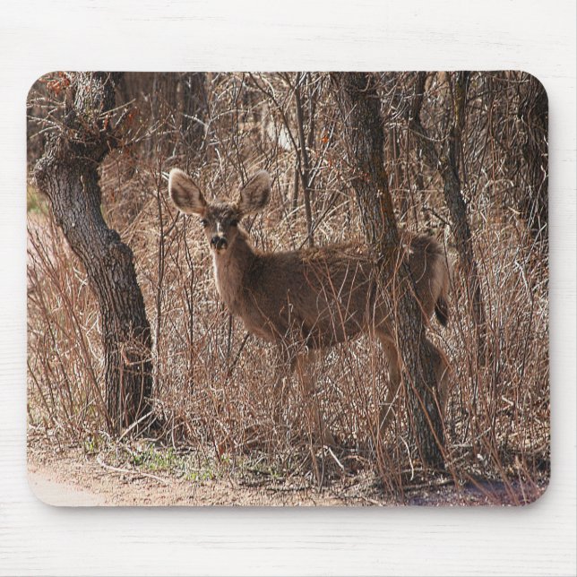 Deer Stare Mouse Pad (Front)