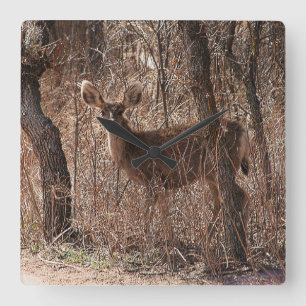 Deer Stare  Square Wall Clock