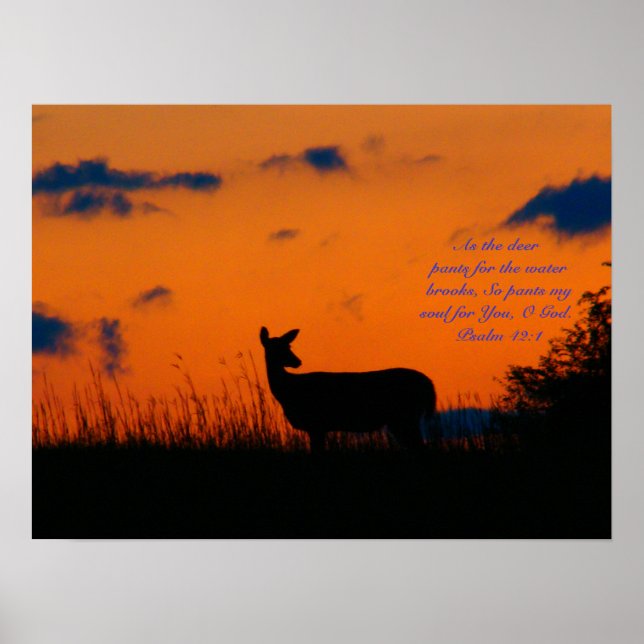 Deer Sunset Poster (Front)
