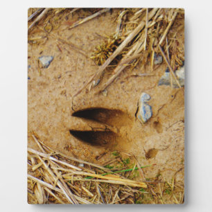Deer Track Plaque