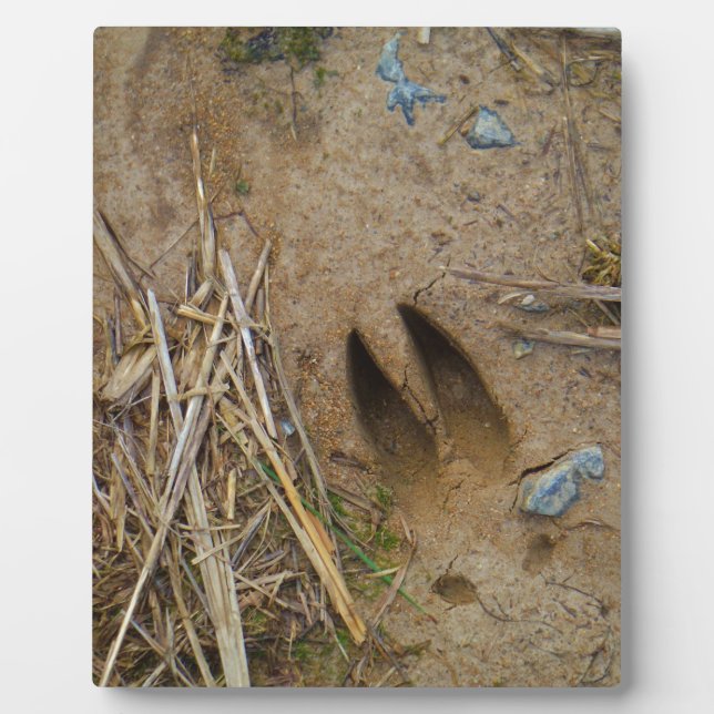 deer track plaque (Front)