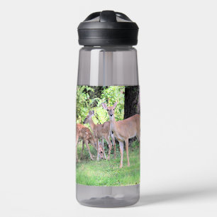 Deer water bottle