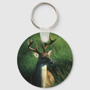Deer / White Tailed Buck Key Ring