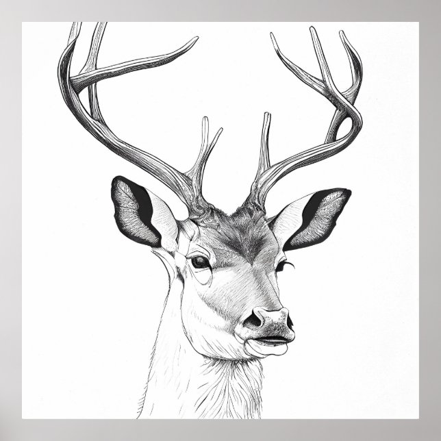 Deer Wild Nature Animal Illustration Art Drawing Poster (Front)