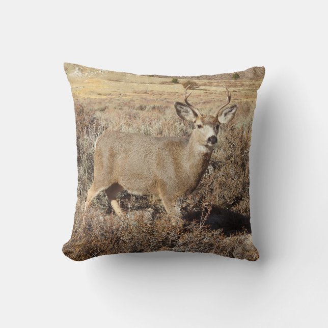 Deer, wildlife, buck, throw pillow (Front)