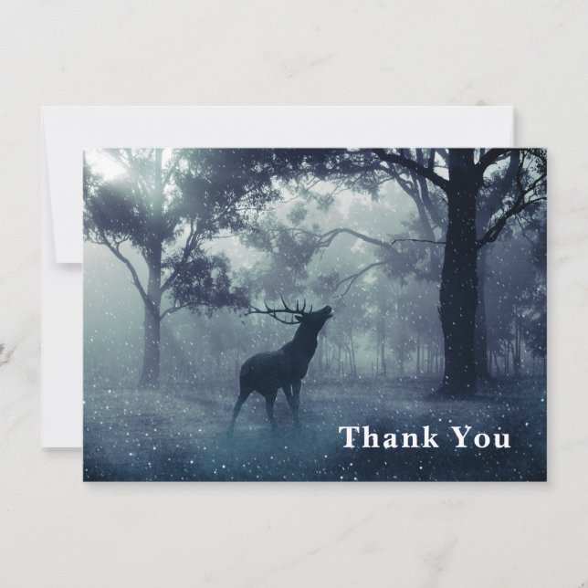 Deer with Antlers in Shadowy Forest Thank You Card (Front)
