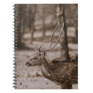 DEER WITH ANTLERS NOTEBOOK