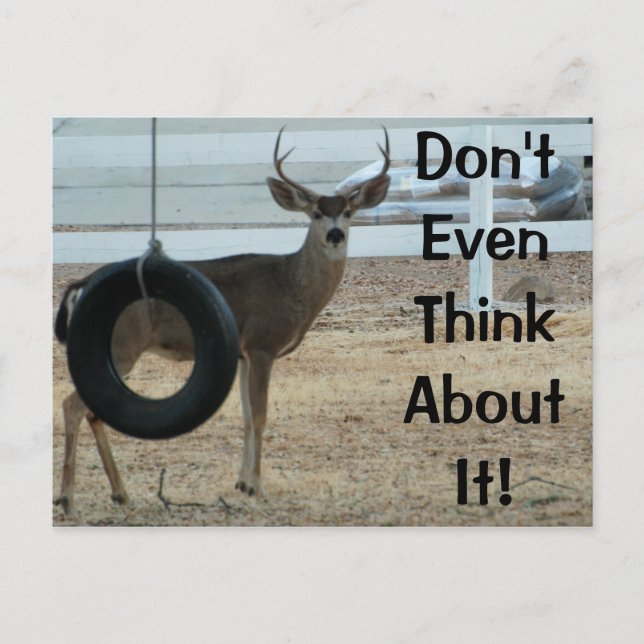 Deer With Attitude Postcard (Front)