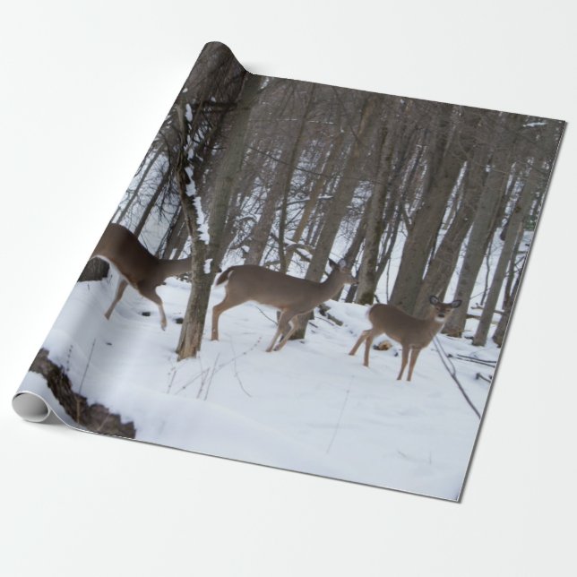 Deer Wrapping Paper (Unrolled)