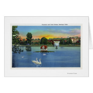 Deering Oaks Fountain and Duck House View