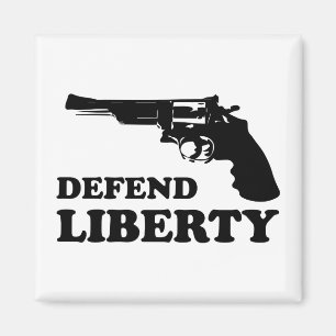Defend liberty magnet