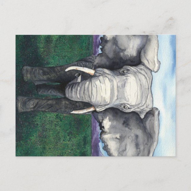 Defiant - African Elephant Postcard (Front)