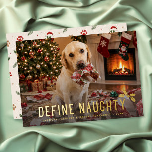 Define Naughty Dog Funny Photo Christmas