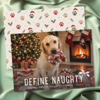 Define Naughty Dog Funny Photo Christmas