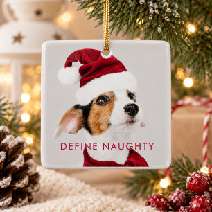 Define Naughty Dog Photo First Christmas Ceramic Ornament