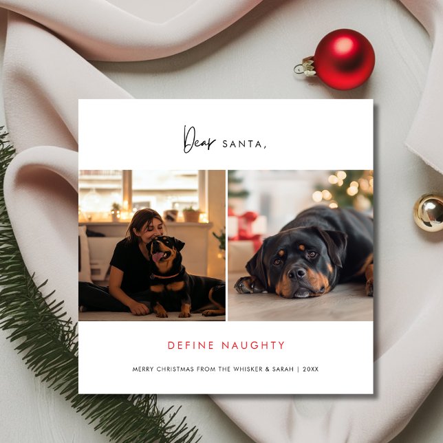 Define Naughty Funny Pet Dog Christmas Photo Holid Holiday Card (Creator Uploaded)