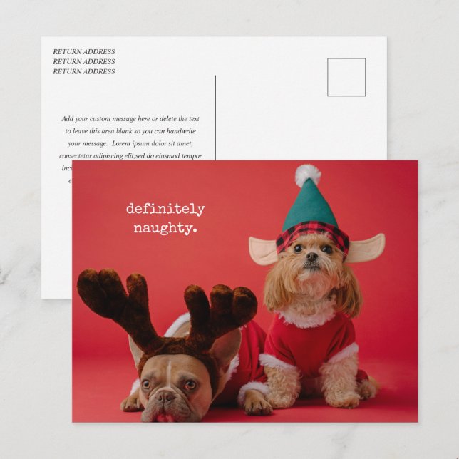 Definitely Naughty Pet Photo Cute Christmas Holiday Postcard (Front/Back)