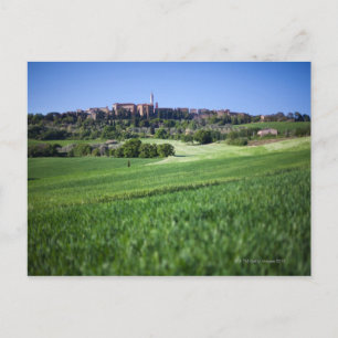 defocused grainfield with on pienza, tuscany, postcard