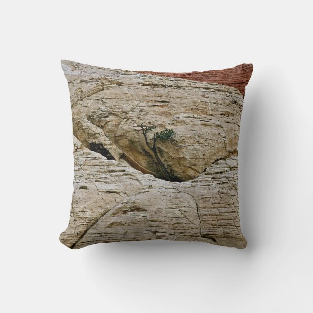DEFYING THE ODDS, TREE BETWEEN DESERT ROCKS CUSHION (Front)