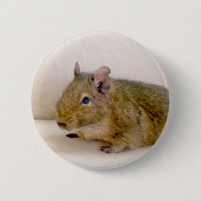 Degu Button (Front)