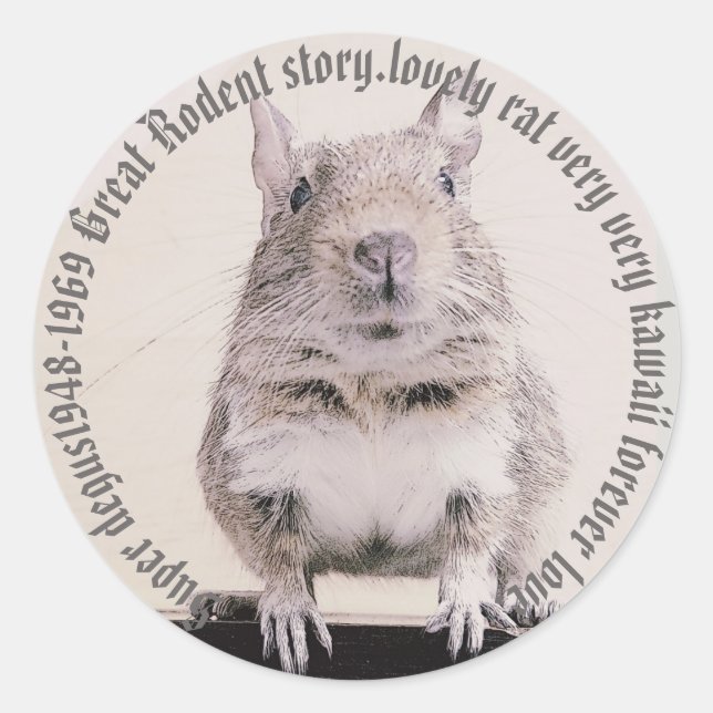 ♛ DEGU ♛ CLASSIC ROUND STICKER (Front)