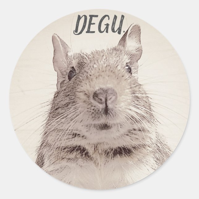 ♧ DEGU ♧ CLASSIC ROUND STICKER (Front)