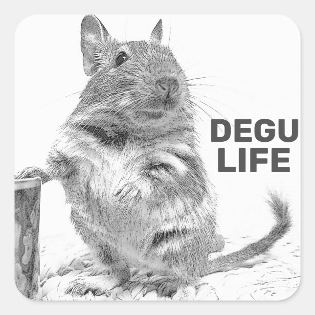 DEGU LIFE SQUARE STICKER (Front)