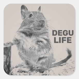 DEGU LIFE SQUARE STICKER