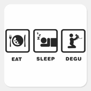Degu Lover Square Sticker