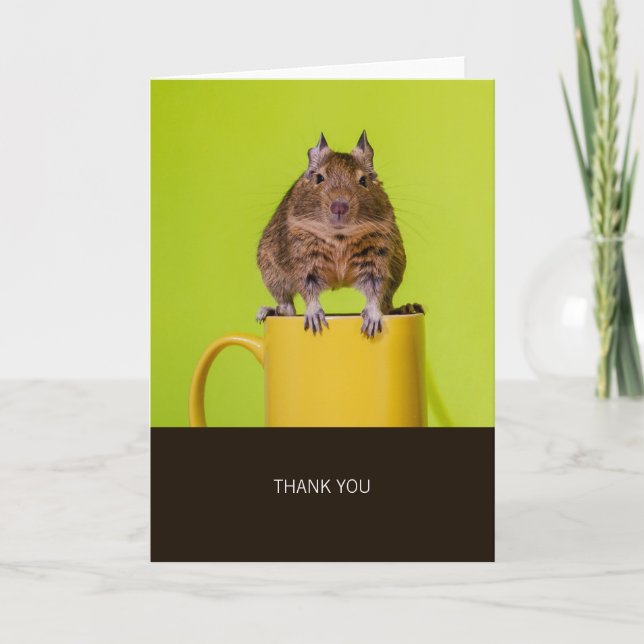 Degu on Yellow Cup Thank You Card (Front)