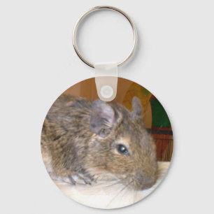 Degu Relaxing Keychain