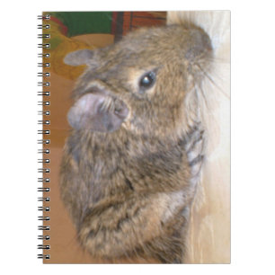 Degu Relaxing Notebook