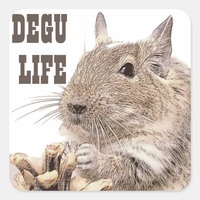 ► DEGU ► Rodents Square Sticker (Front)