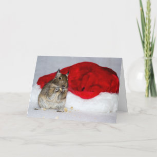 Degu & Santa Hat Christmas Holiday Card