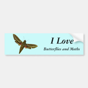 Deilephila celerio - Vine Hawk-Moth Bumper Sticker