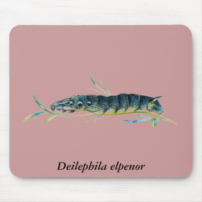 Deilephila elpenor caterpillar mouse pad (Front)