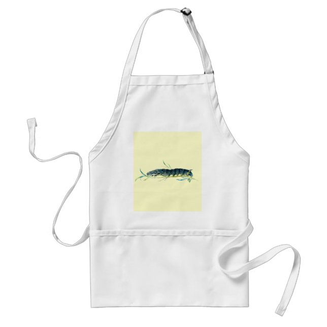 Deilephila elpenor caterpillar standard apron (Front)