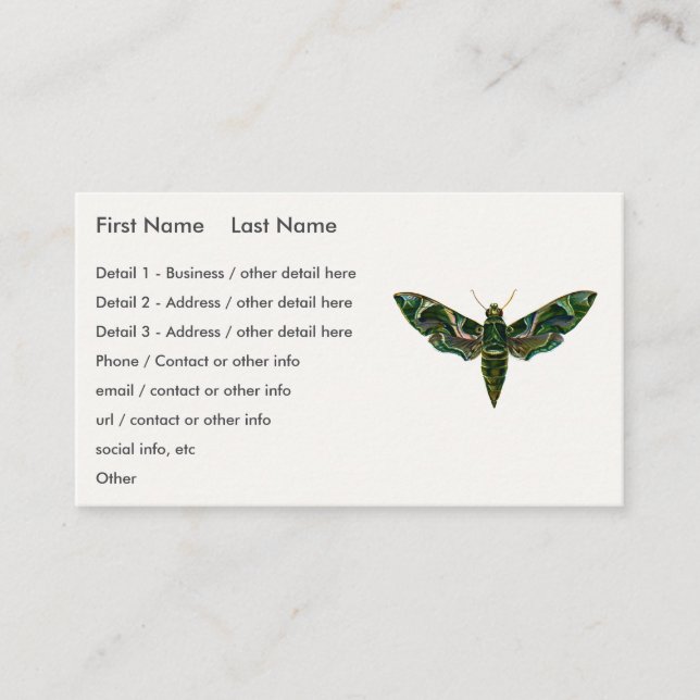 Deilephila Nerii - Oleander Hawk-Moth Business Card (Front)