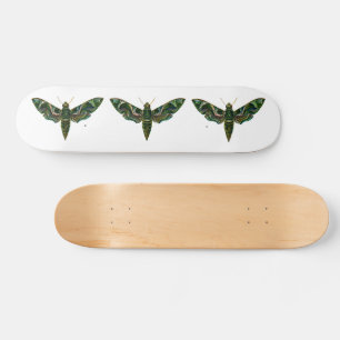 Deilephila Nerii - Oleander Hawk-Moth Skateboard