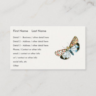Deiopeia pulchella - Crimson-Speckled Flunkey Moth Business Card