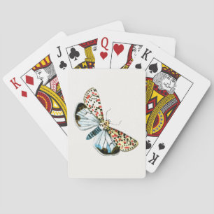Deiopeia pulchella - Crimson-Speckled Flunkey Moth Playing Cards