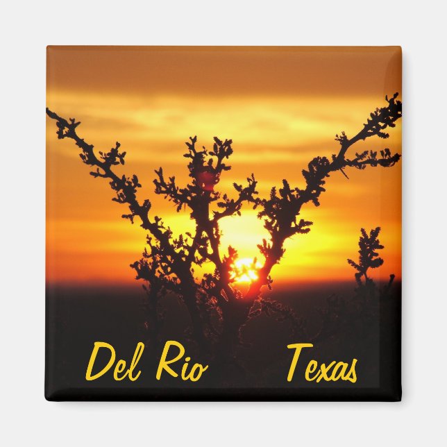 Del Rio Texas souvenirs desert brush sunset Magnet (Front)