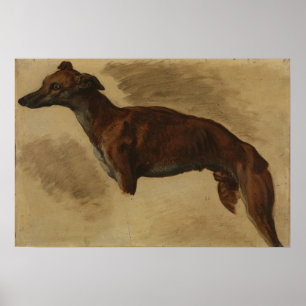 Delacroix - Levrier Presumably 1859 Poster