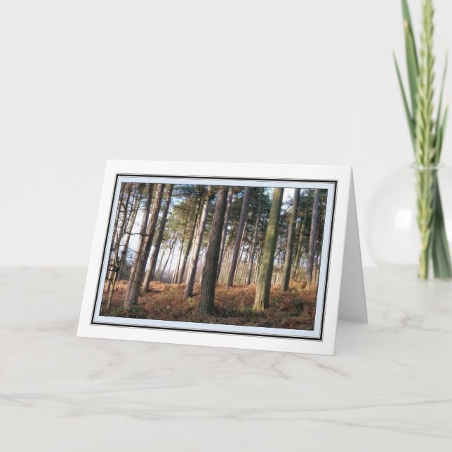 Delamere Forest Greetings Card (Front)