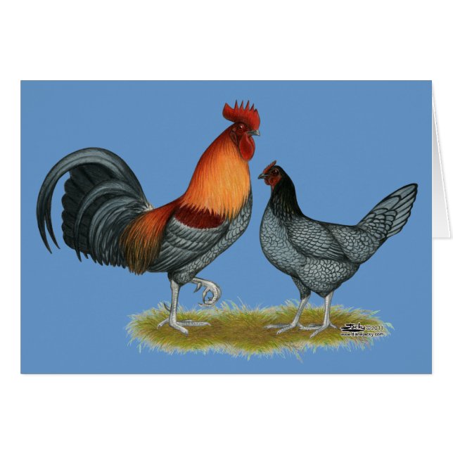 Delaware Blue Hen (Front Horizontal)