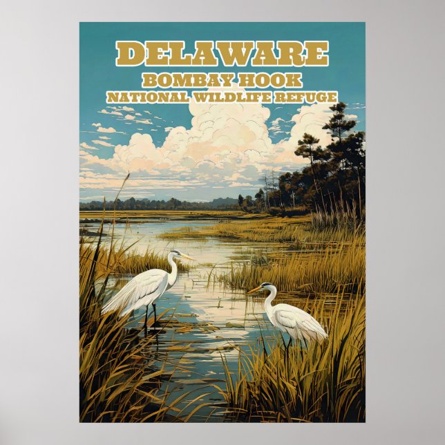 Delaware Bombay Hook V03 Poster (Front)