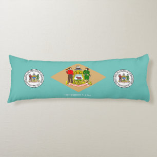 Delaware flag body cushion