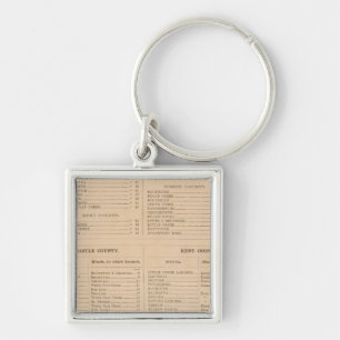 Delaware Index Key Ring