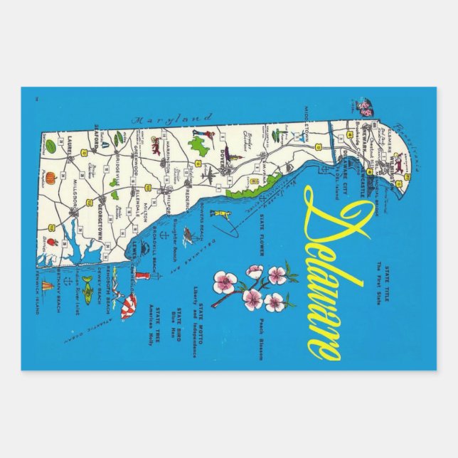 Delaware Map  Wrapping Paper Sheet (Front)